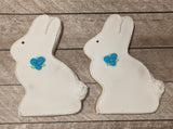 White Bunny